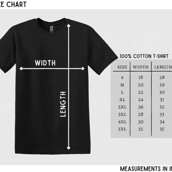 Minnesota Rebel Alliance Loon Bird Resistance Anti ICE T-Shirt - Picture 2 of 2